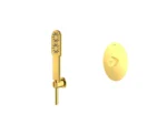 خرید شیر توکار حمام شودر مدل روگن طلایی تیپ 2 brass