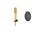 قیمت شیر حمام توکار شودر مدل روگن مشکی طلایی تیپ 2 brass