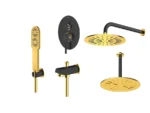 قیمت شیر حمام توکار شودر مدل روگن مشکی طلایی تیپ 4 brass